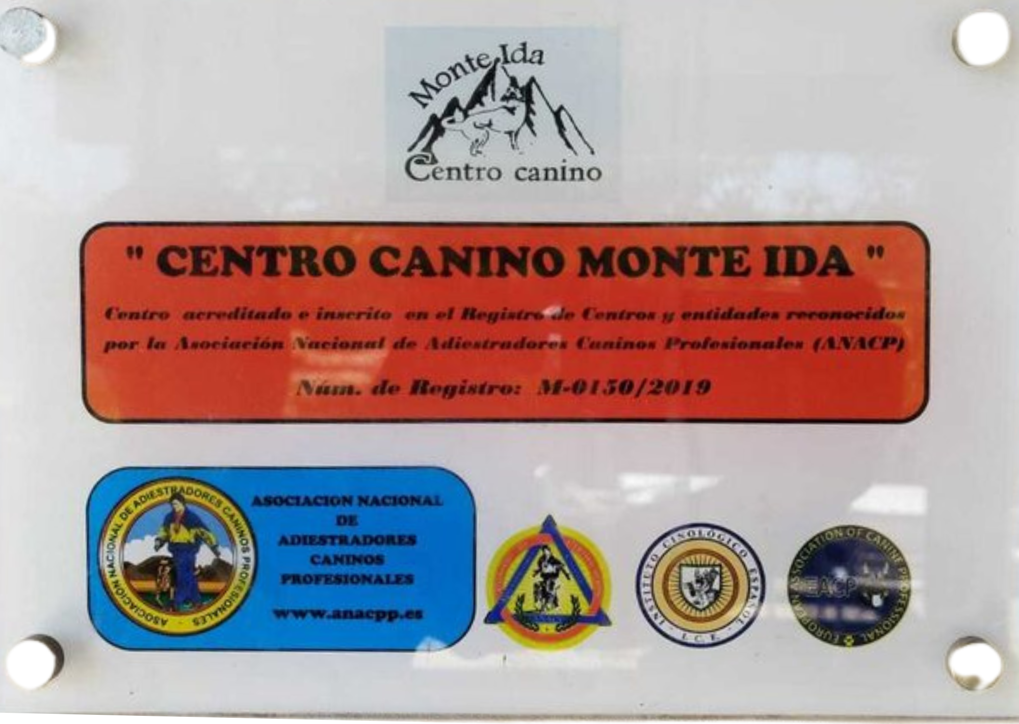 Certificado profesional de Israel Zamorano