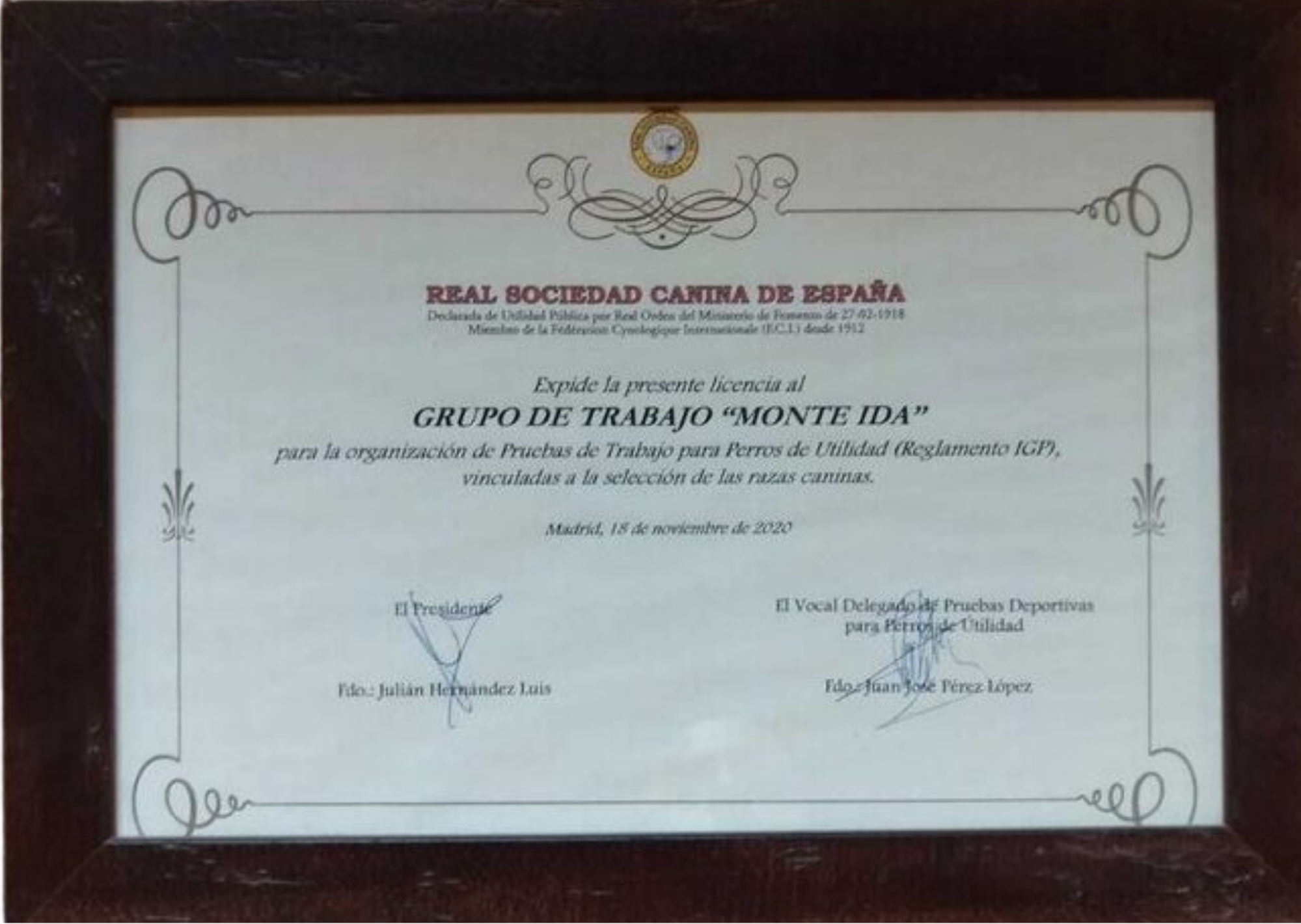 Certificado profesional de Israel Zamorano