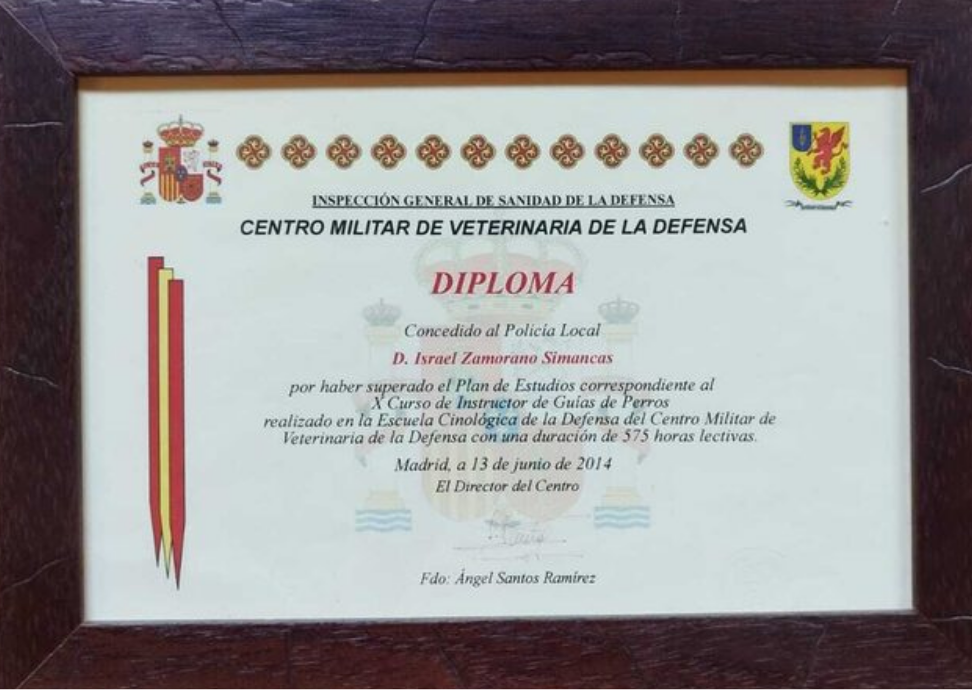 Certificado profesional de Israel Zamorano