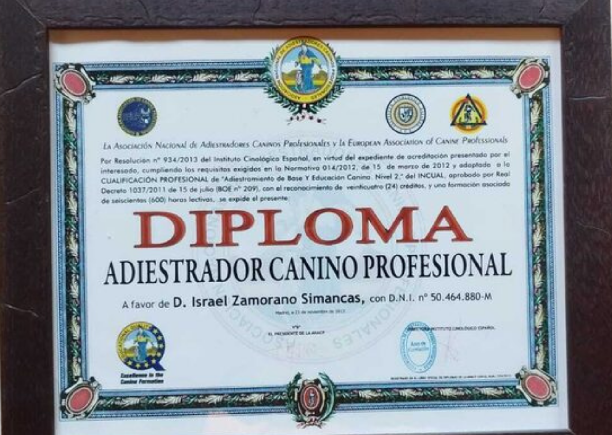 Certificado profesional de Israel Zamorano