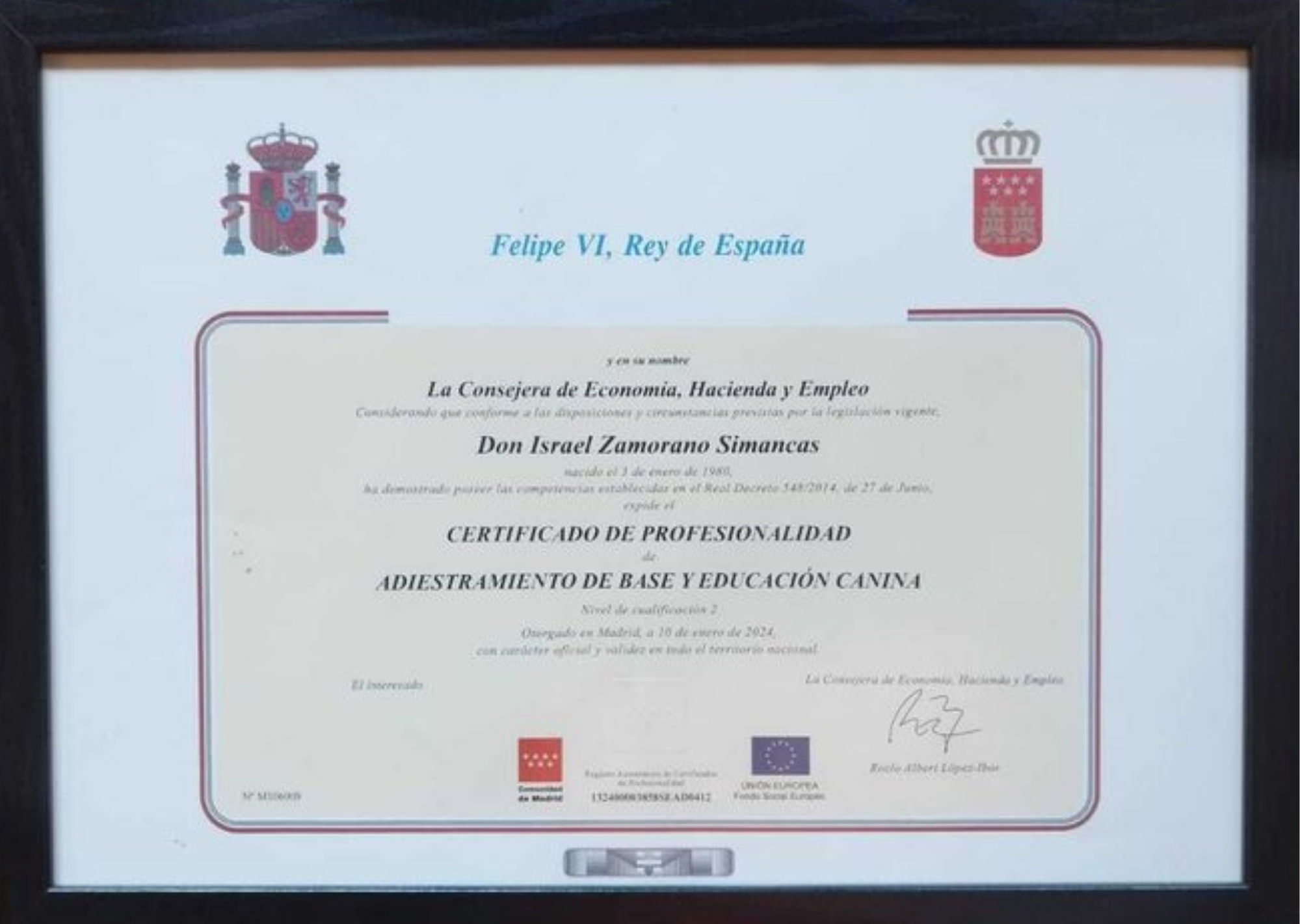 Certificado profesional de Israel Zamorano