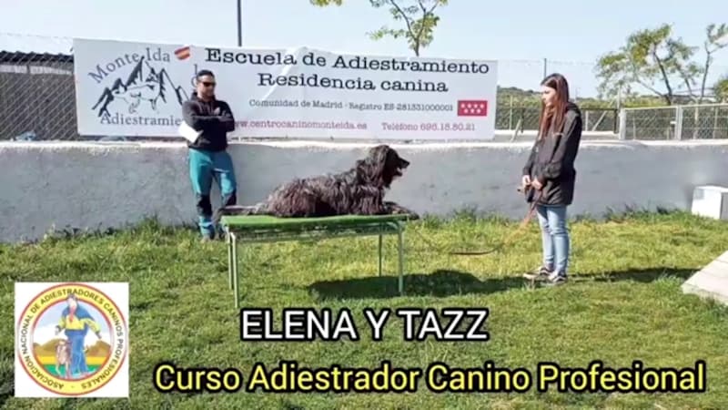 Elena y Tazz - Curso de adiestrador canino profesional