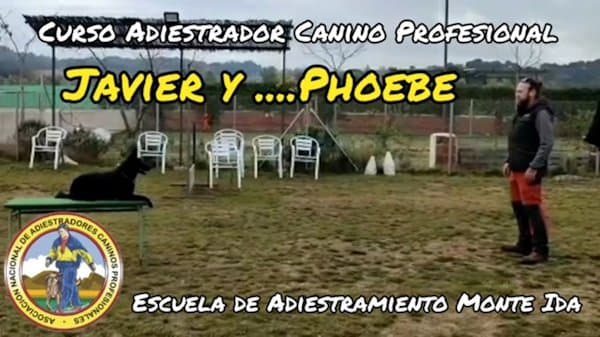 Javier y Phoebe - Curso de adiestrador canino profesional